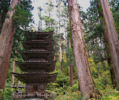 Mount-Haguros-forest-pagoda